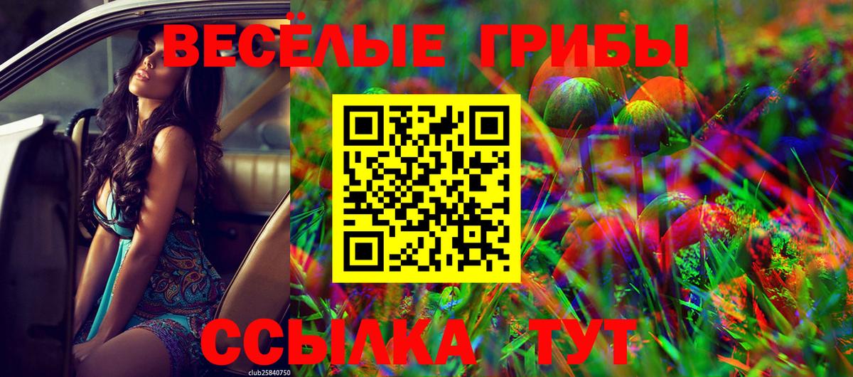 Галлюциногенные грибы мухоморы  Галлюциногенные грибы мухоморы  Кызыл  Вход с VPN 