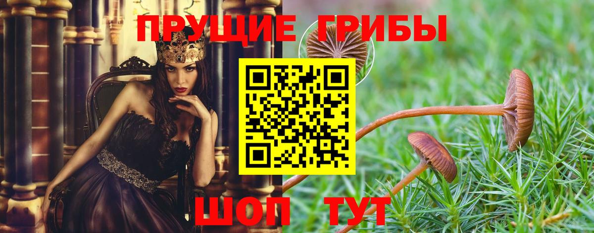 Метамфетамин  ГАШИШ  Каннабис  Меф   Меф МЯУ МЯУ  КОКАИН  Кызыл  Кетамин  Купить наркоту  Вход с VPN  MDMA 